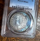 1902 MORGAN 1$ PCGS MS65 BEAUTIFUL BLUE-ORANGE CRESCENT GEM mikesartifacts VIDEO