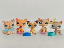 5pcs/lot Littlest Pet Shop LPS Cat 886 1643 3573 1962 228 W/7pcs Accessories