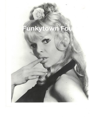 Vintage Glossy 8x10 Photograph Burlesque Babet Bardot | eBay