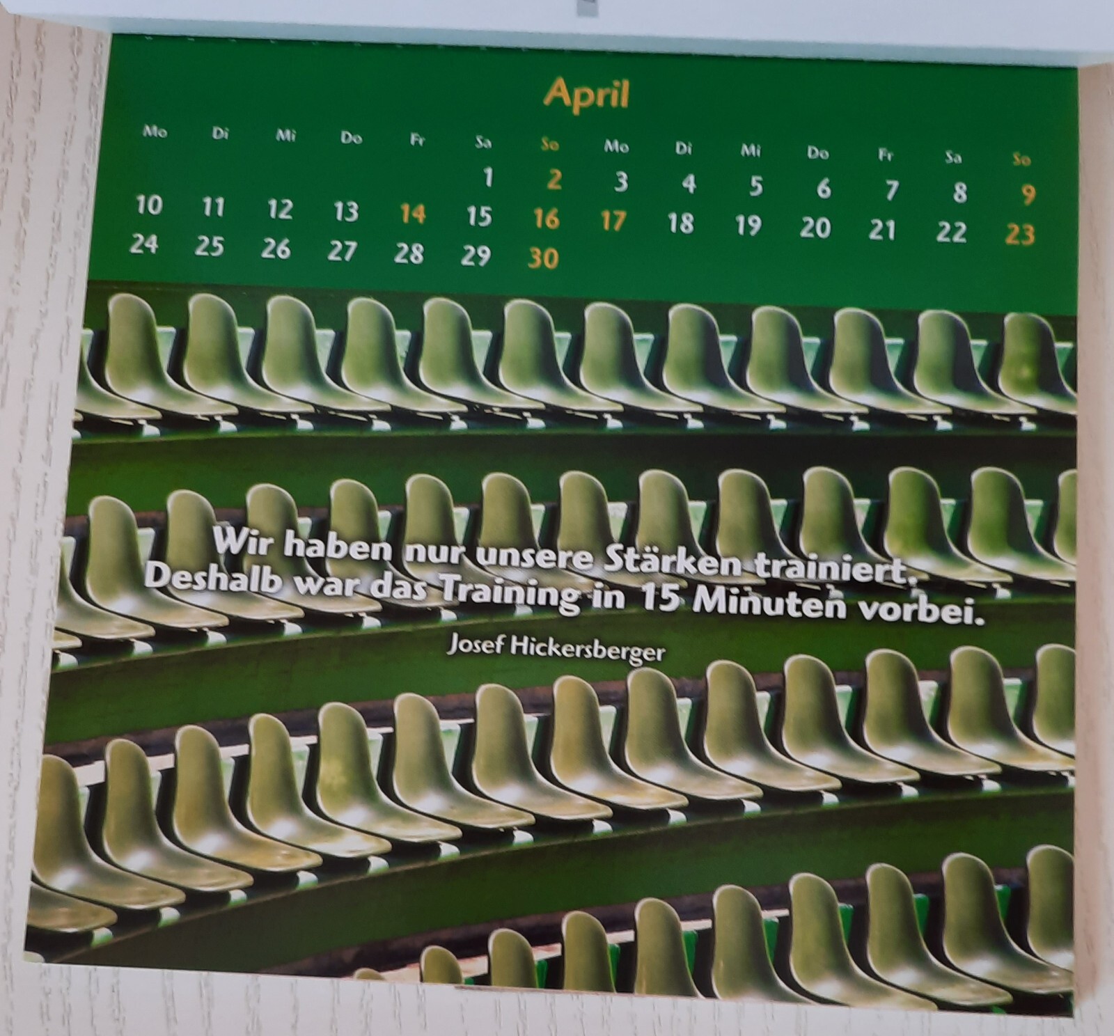 Bild 10 von 12