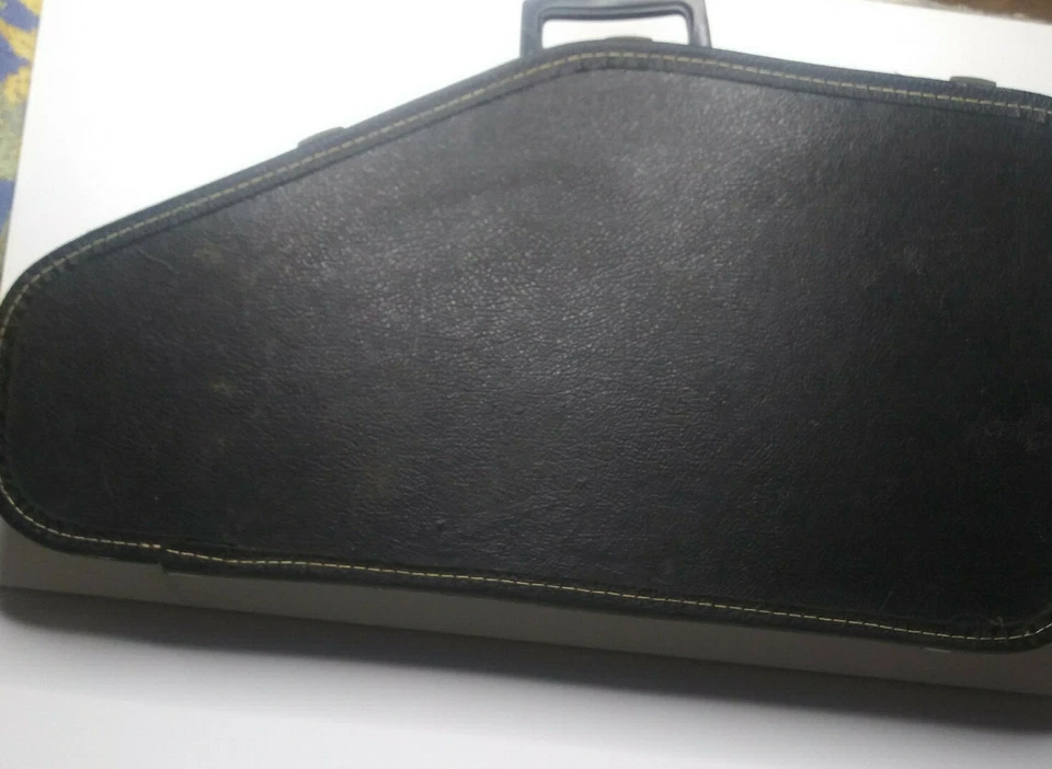 ChromAharP By Rhythm Band Inc. 12 acordes, 36 cuerdas arpa instrumento musical + FUNDA Foto 3 de 4