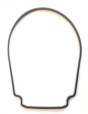 Pump Seal Gasket Kit 357100 357100Z for IntelliFlo / WhisperFlo New Free Ship