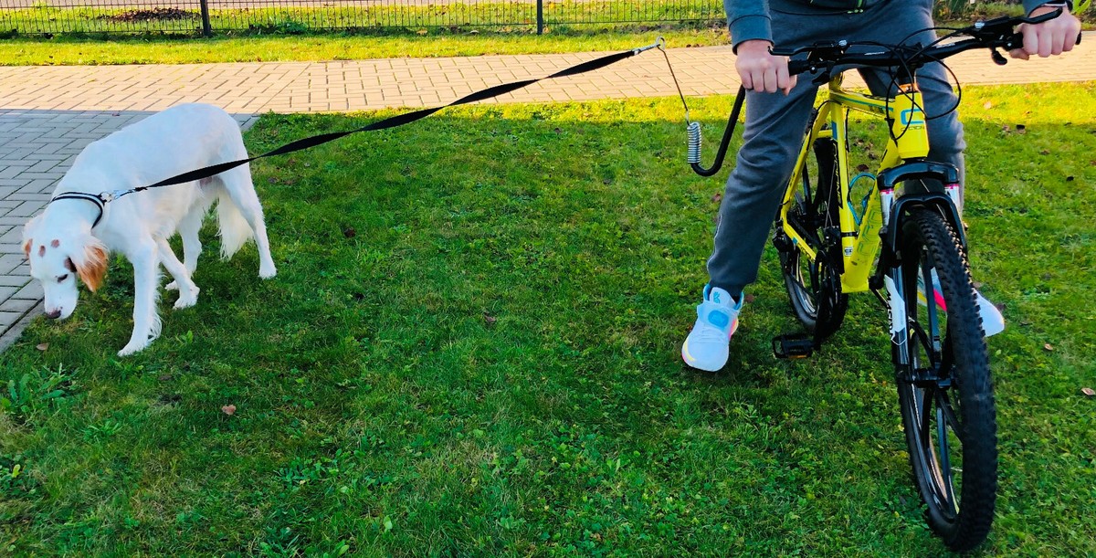 lustiges hundespielzeug Quietschspielzeug Hund  fllfrei, weich & pflegeleicht