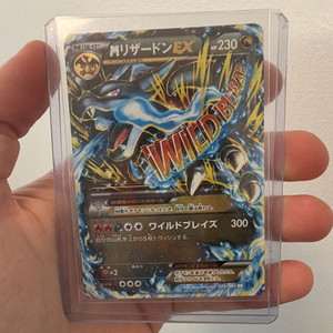 Pokemon Wild Blaze | eBay