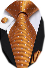 Mens Paisley Striped Tie WOVEN Necktie for Men and Handkerchief Cufflinks Set We