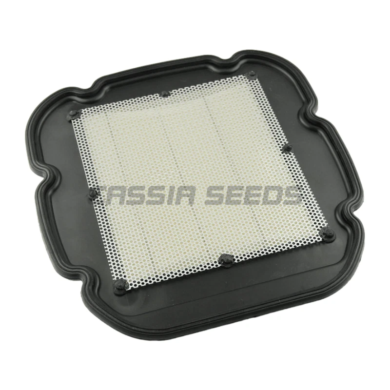 Filtro de aire para Suzuki DL650 V-strom 650 DL650A XT DL1000 Vstrom1000 Foto 4 de 4