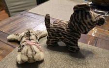 Vintage Steiff Floppy Cat sleeping A Steiff Tiger