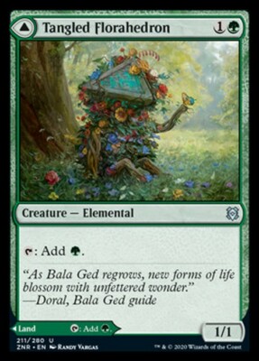 Verworrenes Floraeder // verworrenes Tal ~ Zendikar steigend [nearMint] [Magic MTG]
