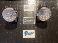 2 Fendinebbia Nuovi  CON Lampadine Smart Fortwo 453