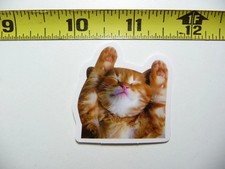 FUNNY CAT KITTEN SMALL STICKER DECAL SLEEPING CUDDLY PET FELINE FUNNY