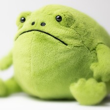 NEW Ricky Rain Frog Jellycat Plush