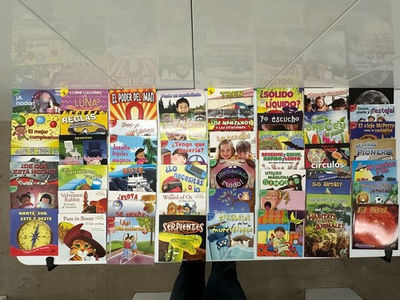 #ad 50 SPANISH Books Readers Mixed Lot Educational Homeschool Mixed Levels Rourke $63.74