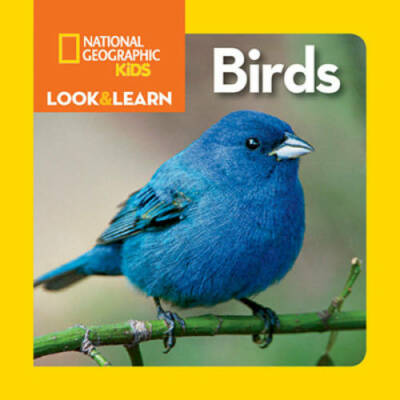 National Geographic Kids Look and Learn: Birds (Look & Learn) - GOOD