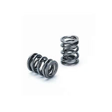 Supertech Dual Valve Spring For Honda K20/K24 | Set of 16