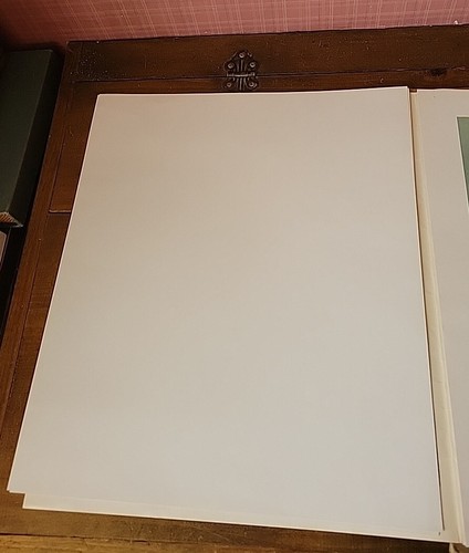 The Look of a Thoroughbred 8 Vntg Horse Prints C.W. Anderson Portfolio Man O War - Picture 7 of 24