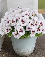 Artificial Flowers for Outdoor, 12 Bundles Fake Pansies Flowers for Outdoor P...