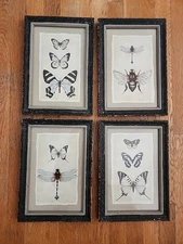 Creative Co-op Framed Butterflies Art Print 13.5x9.5 Rustic Cottagecore Set Of 4