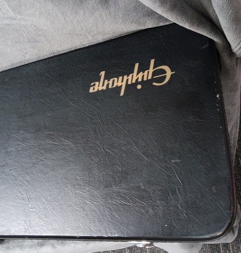 Epiphone Firebird guitar case - Picture 2 of 6