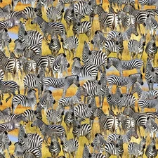 Black/White Savanna Dazzle Serengeti Plains  BTY Michael Miller 44" Wide