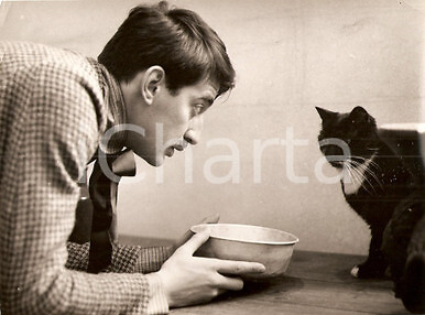 1962 JULES ET JIM Henri SERRE with cat Movie by François TRUFFAUT *Fotografia - Foto 1 di 1