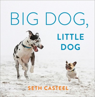 Seth Casteel | Big Dog, Little Dog | Buch | Englisch (2020) | Penguin Putnam Inc