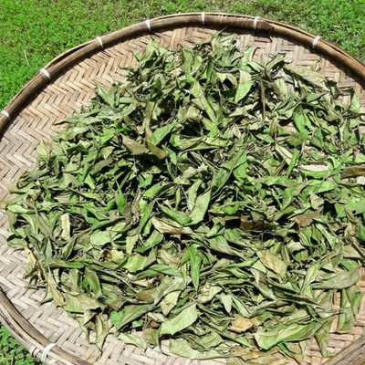 600+ Dried Neem Leaves Organic Ceylon Herbal Tea Freshly Picked Premium Quality
