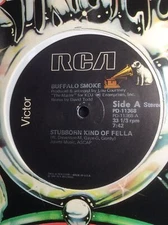 Buffalo Smoke 12” Vinyl Stubborn Kind Of Fella 2 Mixes 1978 RCA LP The Master