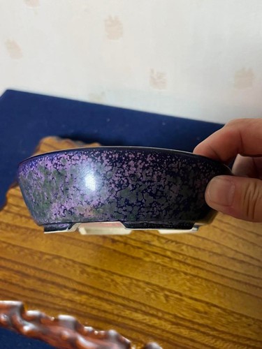 Japanese Bonsai pot HEKISHO Oval shape W17cm H4cm Ruri-blue Glazed - Picture 22 of 24