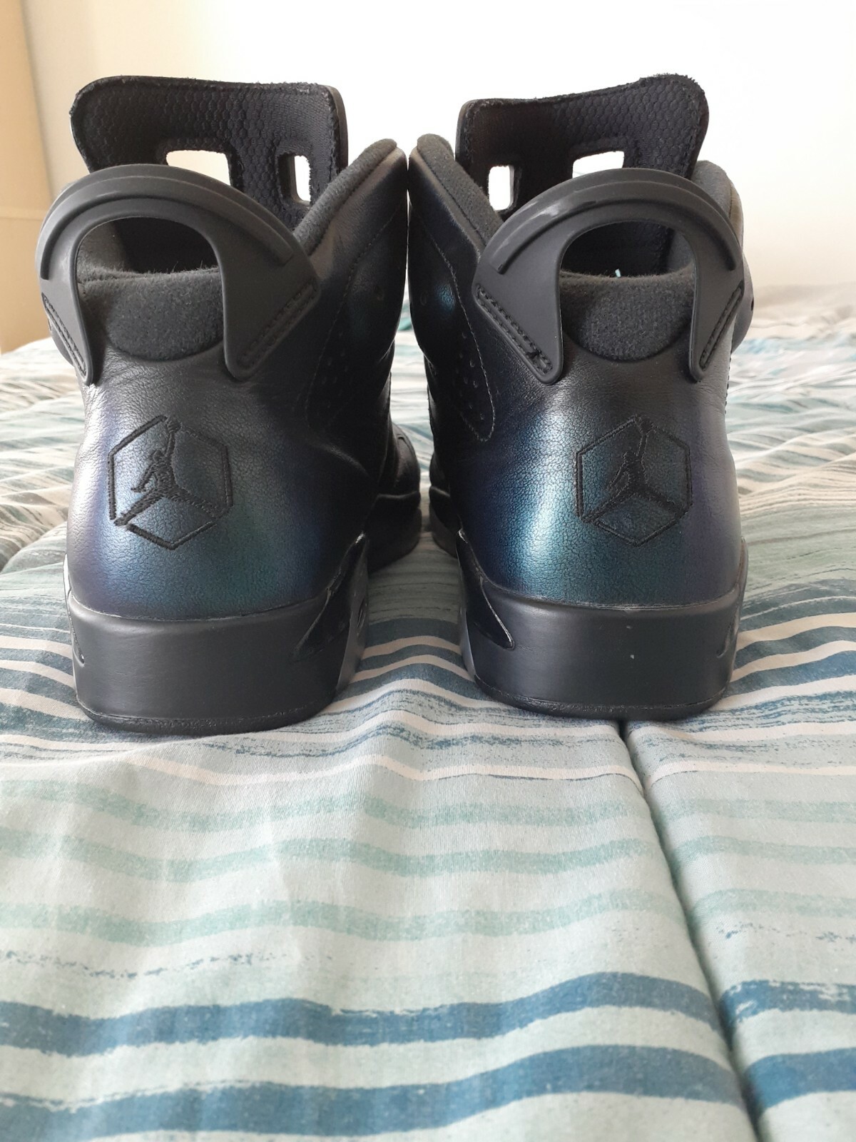 retro 6 all star chameleon