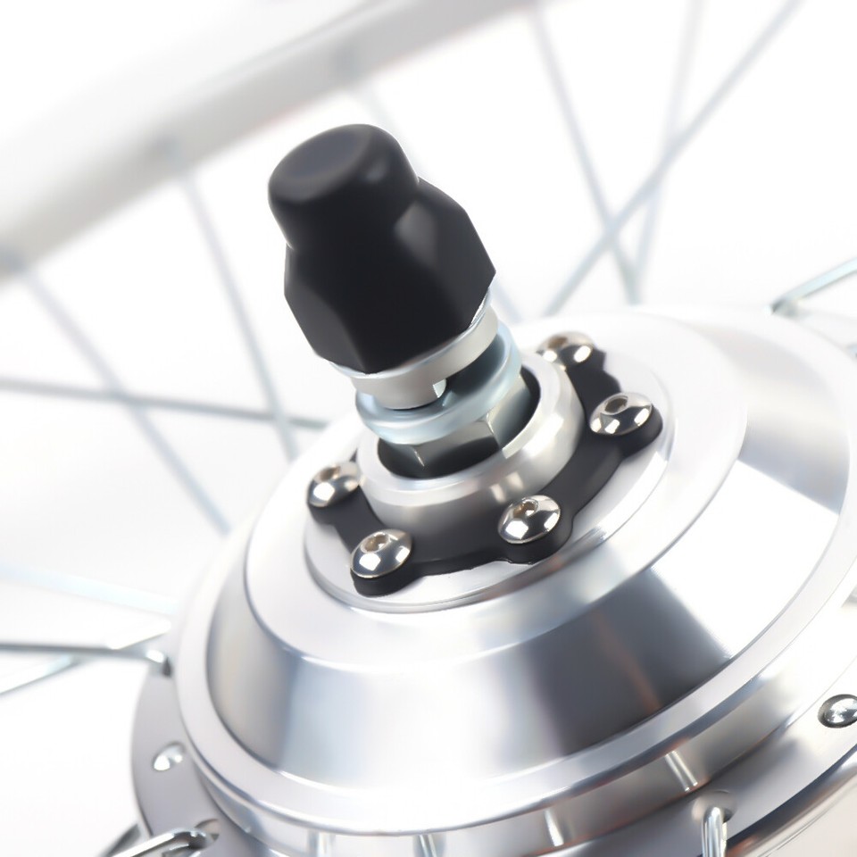 26 Inch 36V 250W Electric Bike Rear Wheel Conversion Kit E-Bike ...