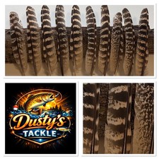 Hen Pheasant Wing 20 30 Or 40 Feathers Equal L&R Fly Tying (P) BUY 4 GET 1 FREE