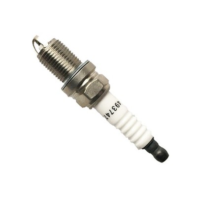 4955850 4937472 Natural Gas Spark Plug #tp