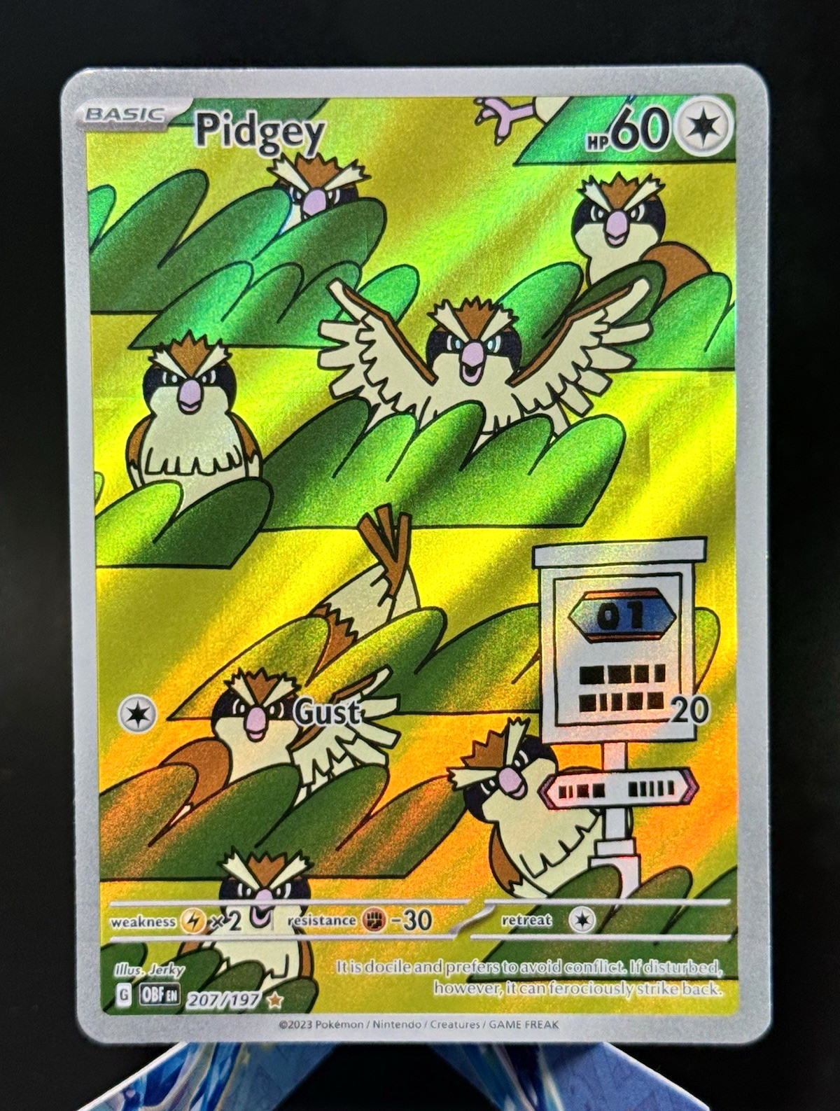 The Pokémon Company Pidgey 207/197 SV03 Obsidian Flames IR Holo EN