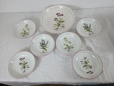 La Primula 1 Large Serving Plate & 6 Pasta Bowls ITALY Botanical Pink Rim CHIPS