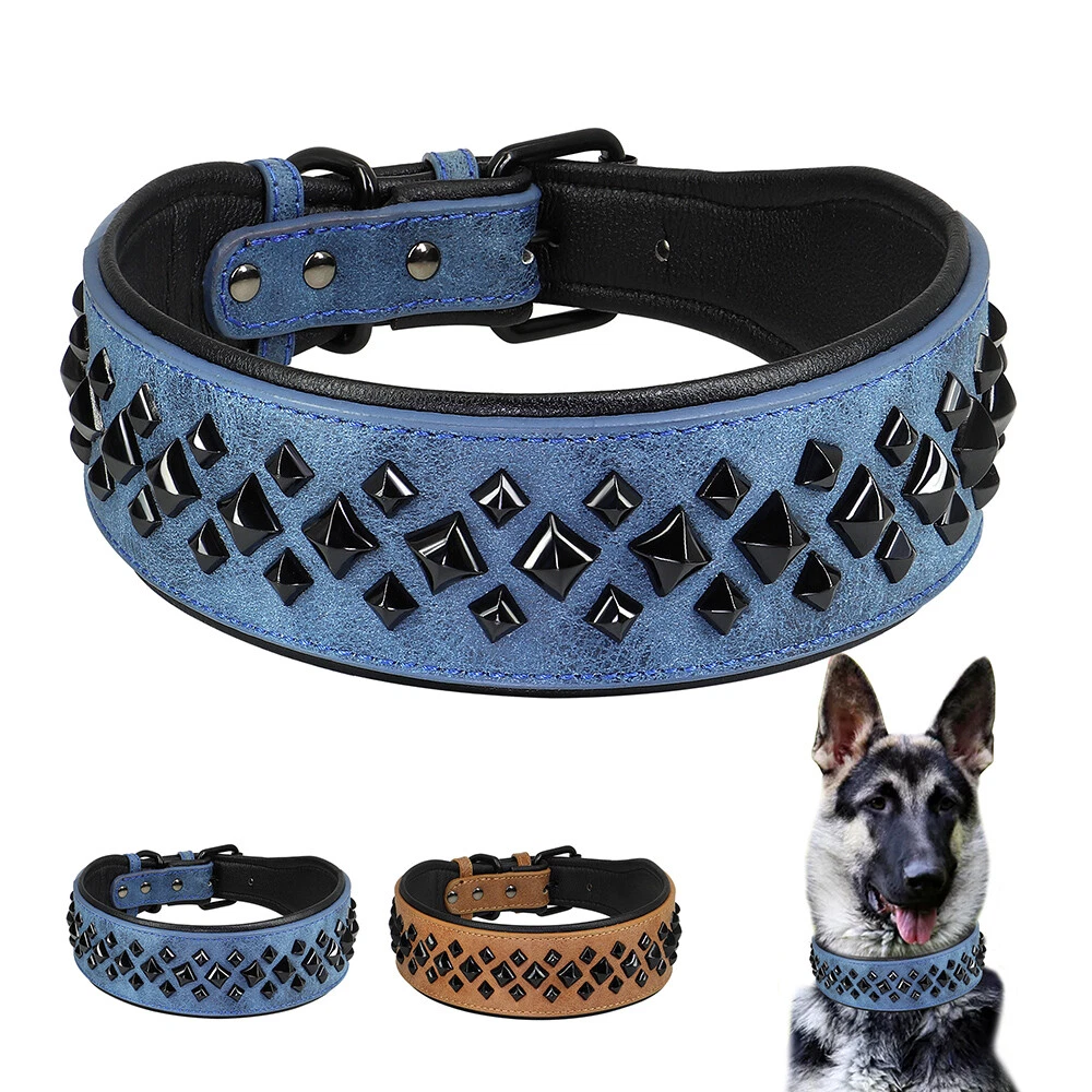 Studded leather best sale dog collars