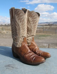 dan post womens lizard boots