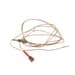 Bertazzoni 508037 1/2'' Termocouple Ultra-Rapid Burner Replacement Part