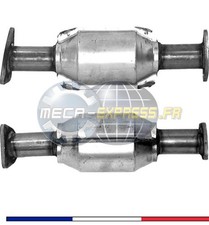 Catalyseurs Rover 214