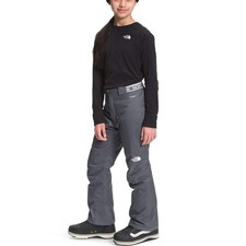 The North Face Gray Freedom Insulated Pant