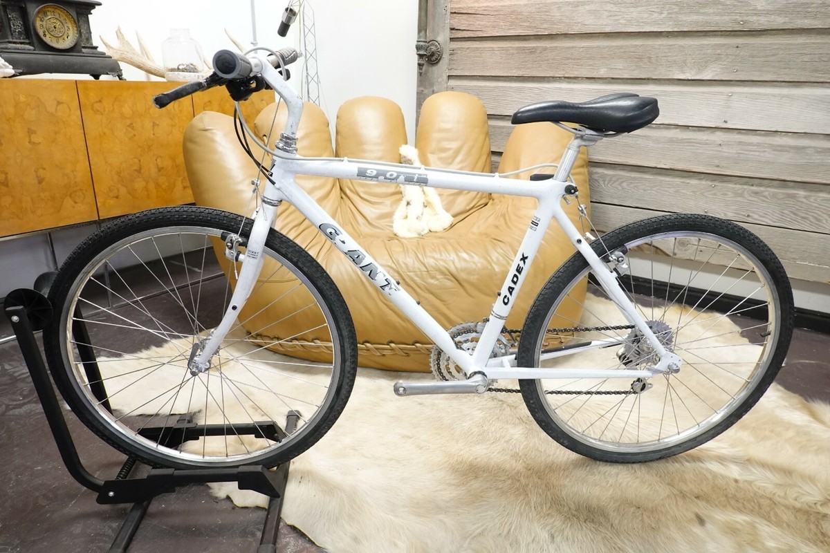 Carbon 90s VINTAGE Giant Cadex 890i 18.5