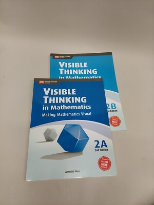 Visible Thinking in Mathematics, Level 2A & 2B