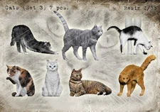 1/35 Scale Cat Figurine Set (7 Pcs) - Resin Miniature Models for Dioramas