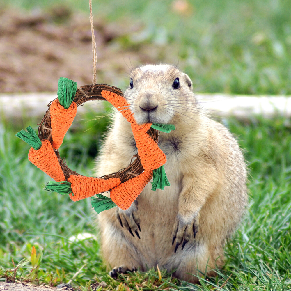 Rabbit Chewing Toy Pet Snack Treat Molar Tooth Grinding Toy for