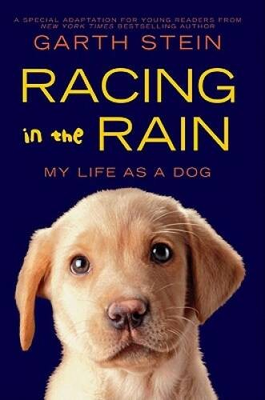 #ad Racing in the Rain: My Life as a Dog Hardcover By Stein Garth VERY GOOD $6.40