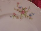 Haviland Limoges Large Dinner Plate Schleiger 53 Ranson Pink Roses 10 1/4" — photo 2