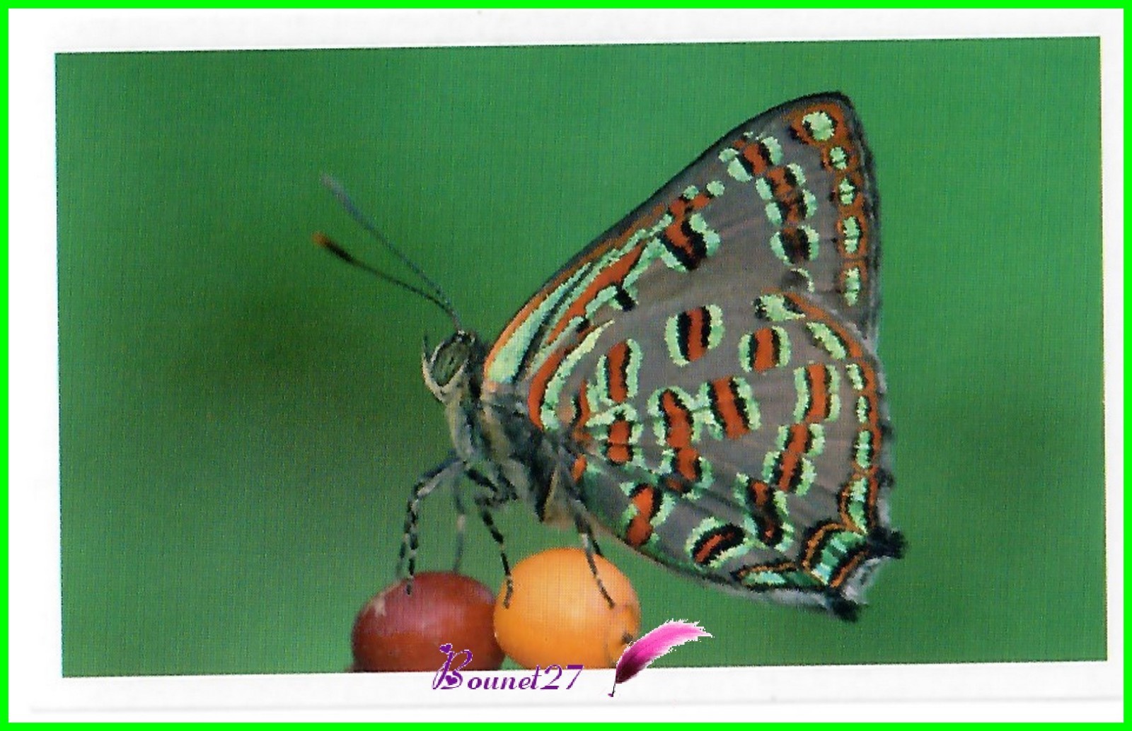 Imagen 181 de 187