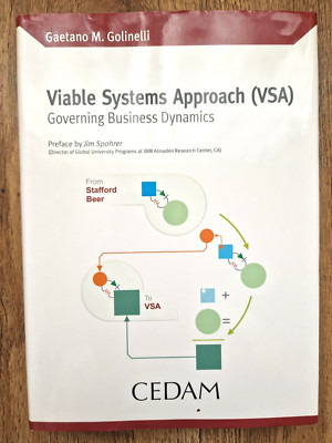 Viable Systems Approach (VSA): Governing Business Dynamics - G.M. Golinelli 2010