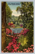 Beautiful Azaleas Florida Cypress Gardens Vintage Unposted Linen Postcard Boat