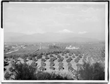 General view of Redlands from Smiley Heights 1900 California Old Photo