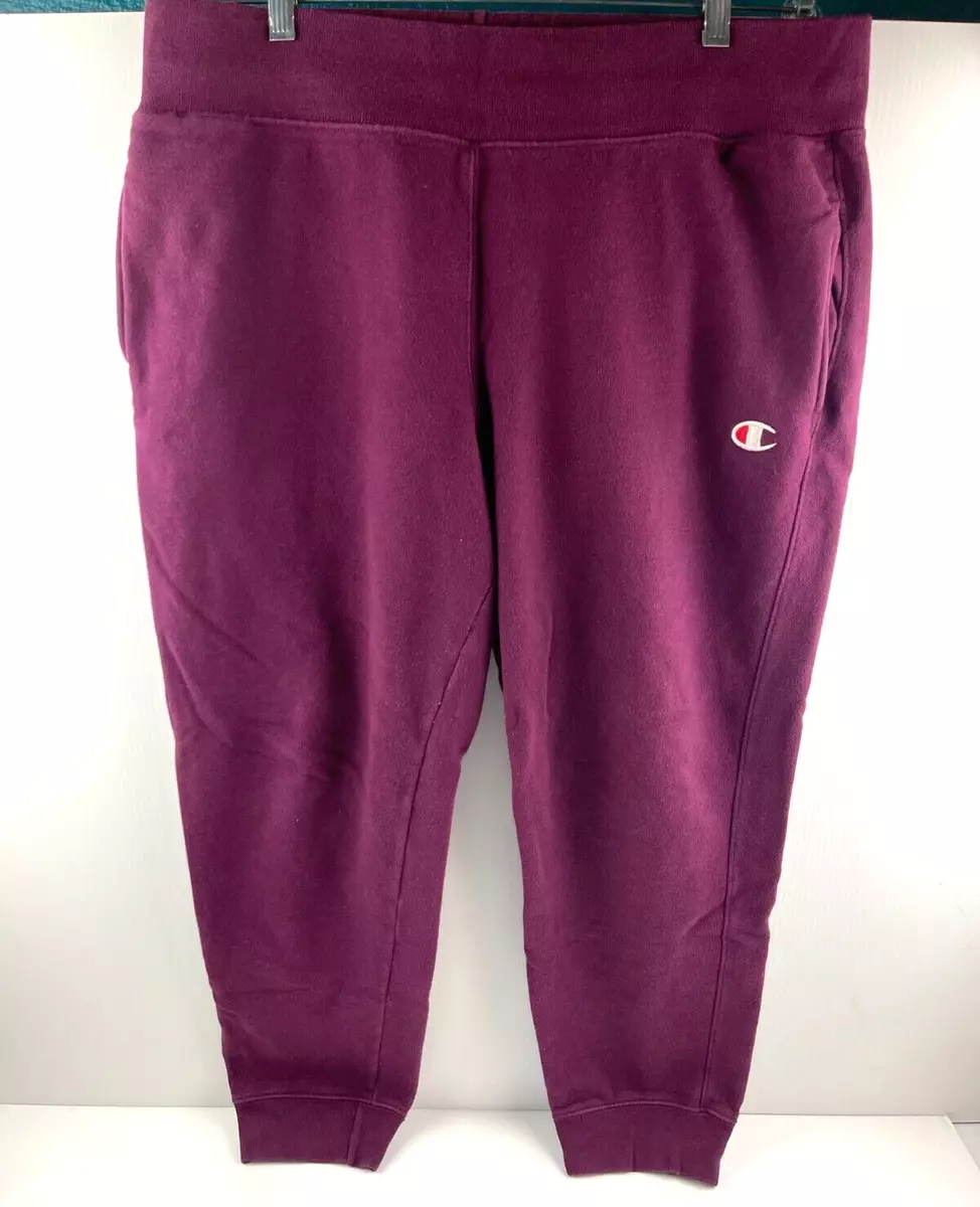 Thick champion hotsell sweatpants